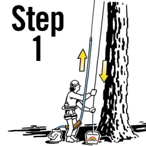 Rigging-ropepro-above-Step-1