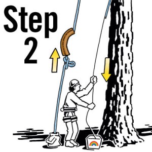 Rigging-ropepro-above-Step-2