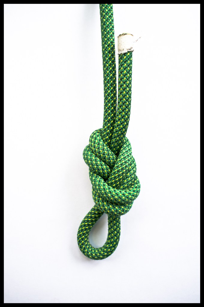 figure-eight_onbight